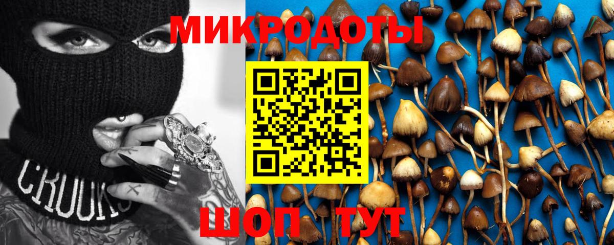 Ахтубинск  Псилоцибиновые грибы Psilocybe  Вход с VPN 